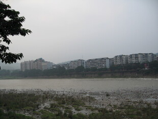 江边城市建筑远景