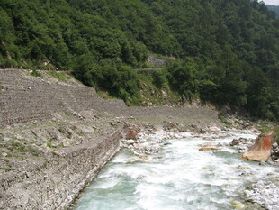 山间湍急河流与葱郁山林