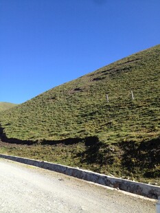 公路旁绿意盎然的山坡