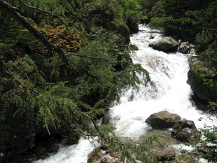 山间溪流穿林而过