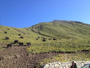 青山绿野间的自然景致