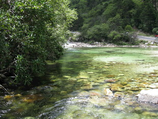 山间清澈溪流与葱郁植被