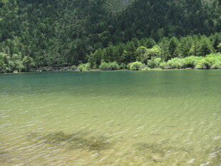 宁静清澈的山间湖泊