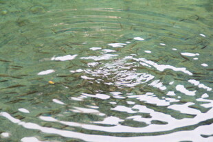 水面涟漪 自然灵动之美