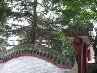 中式园林围墙一角