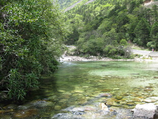 山间清澈溪流 绿意环绕