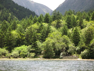 湖畔青山绿树自然风光