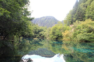 青山绿水间的澄澈溪流