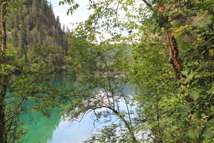 山间碧湖 绿意环绕之景