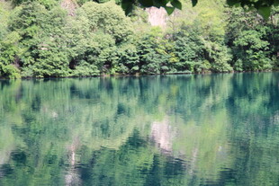 静谧湖水映葱郁山林