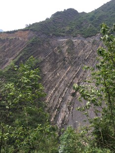 山坡上的植被与沟壑地貌