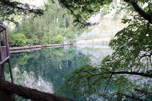 湖畔绿荫下的静谧美景