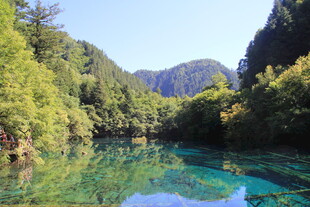 青山绿水间的澄澈溪流