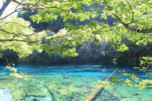 梦幻蓝湖 林间清幽景致