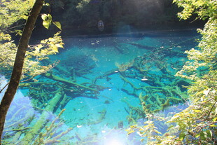梦幻蓝湖 山林中的自然奇景