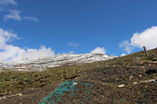 雪山下的多彩植被景观
