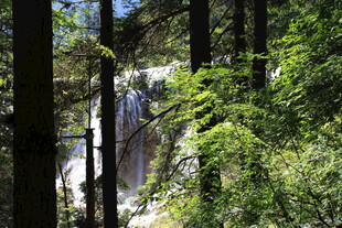 森林中的瀑布景观