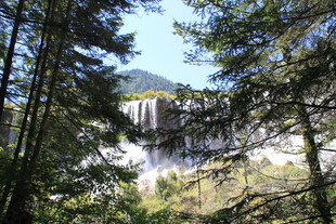 森林间的宏伟城堡景观