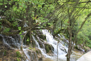 山间溪流瀑布绿意景致