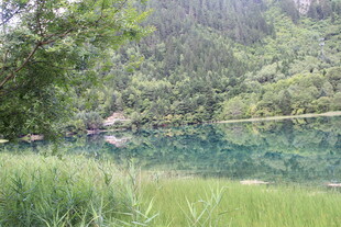 山间清潭 绿意环绕的美景