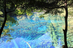 森林中的梦幻蓝色溪流