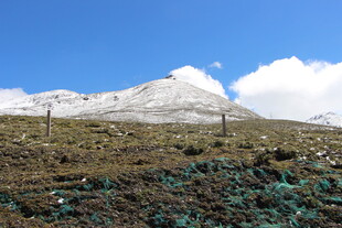 雪山风光 广袤原野景色