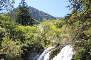 山间瀑布旁的葱郁景致