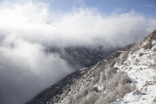 雪山云海壮丽景观