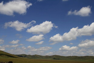 蓝天白云下的广袤原野