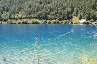 清澈蓝湖与葱郁山林美景