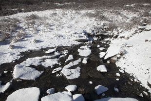 冬日溪流 覆雪石块景象