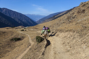 山地骑行者穿梭于山间小道