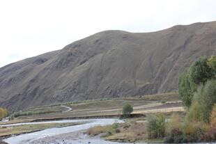 山间河流旁的自然景致