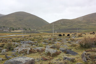 山野间的岩石与远处山峦