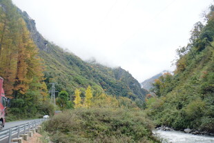 山间公路旁的多彩秋日风光