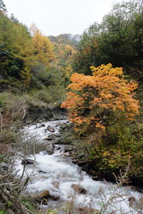 秋日山间溪流美景