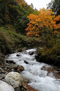 山间溪流秋色美景