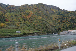 山间河流秋景图