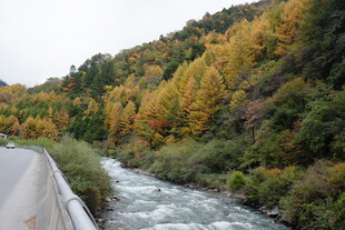 秋日山间公路旁的湍急溪流