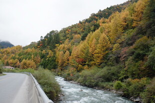 秋日山间公路旁的溪流景色