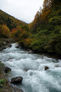 山间湍急溪流与多彩林木