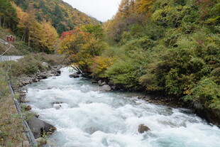 山间湍急溪流 秋色相伴