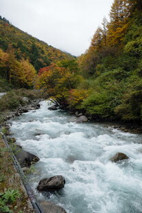 山间湍急溪流与多彩林木