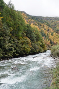 山间湍急溪流与多彩树林