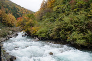 山间湍急溪流与多彩林木