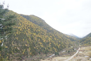 山间秋色 蜿蜒小路穿行