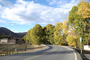 秋日蜿蜒公路美景
