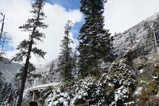 雪覆山林的冬日美景