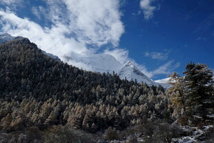 壮丽山景与蓝天森林