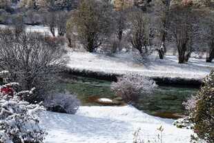 冬日雪景中的静谧河流
